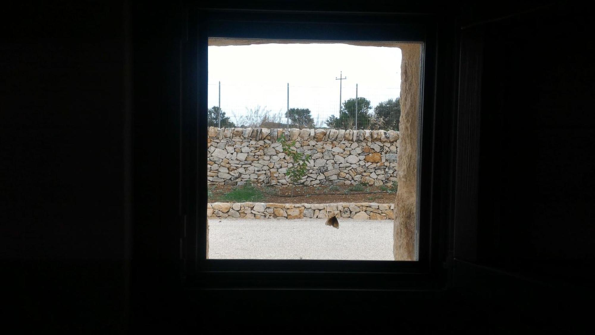 诺西Trulli Don Diego住宿加早餐旅馆 外观 照片