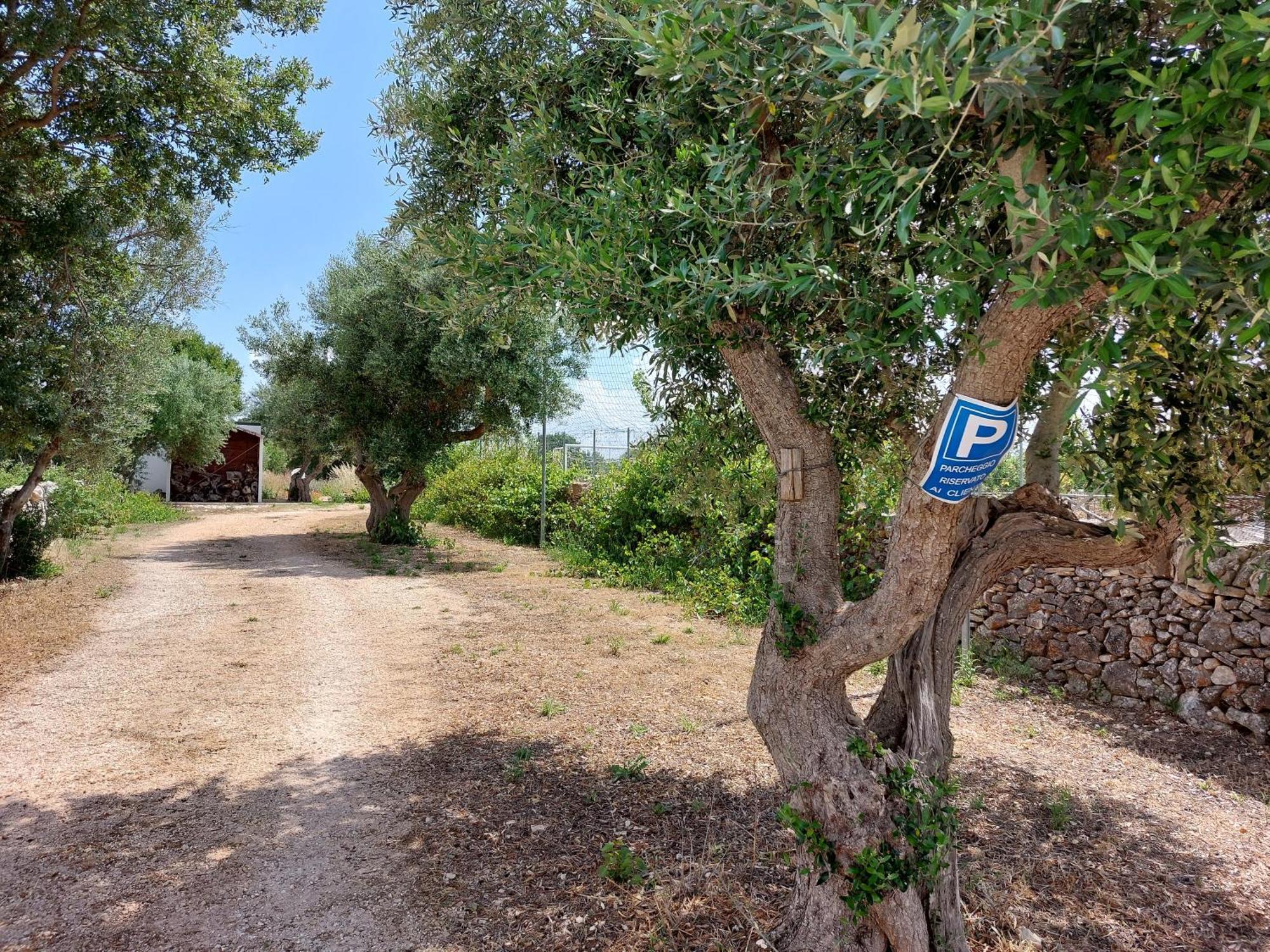 诺西Trulli Don Diego住宿加早餐旅馆 外观 照片