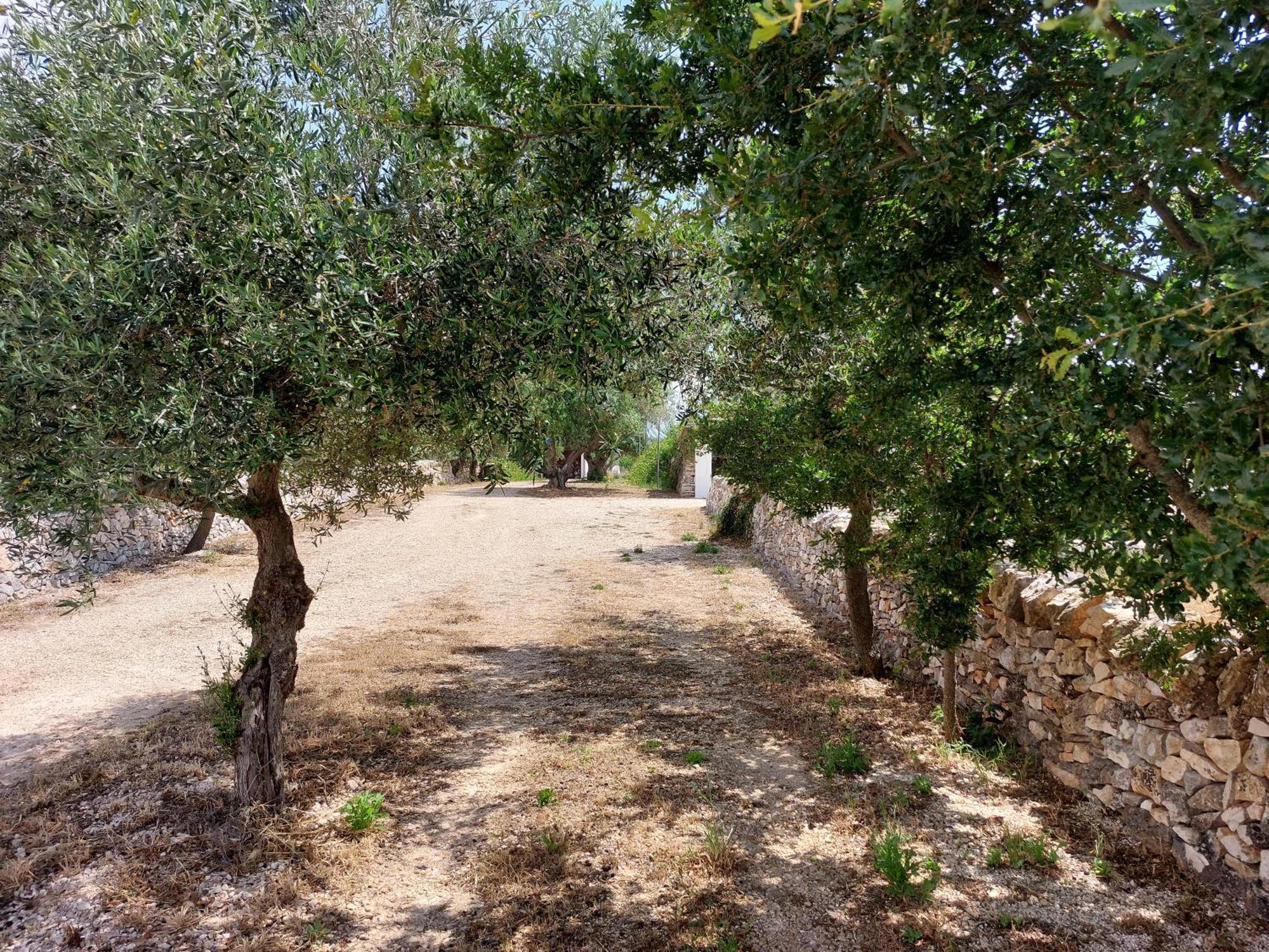诺西Trulli Don Diego住宿加早餐旅馆 外观 照片