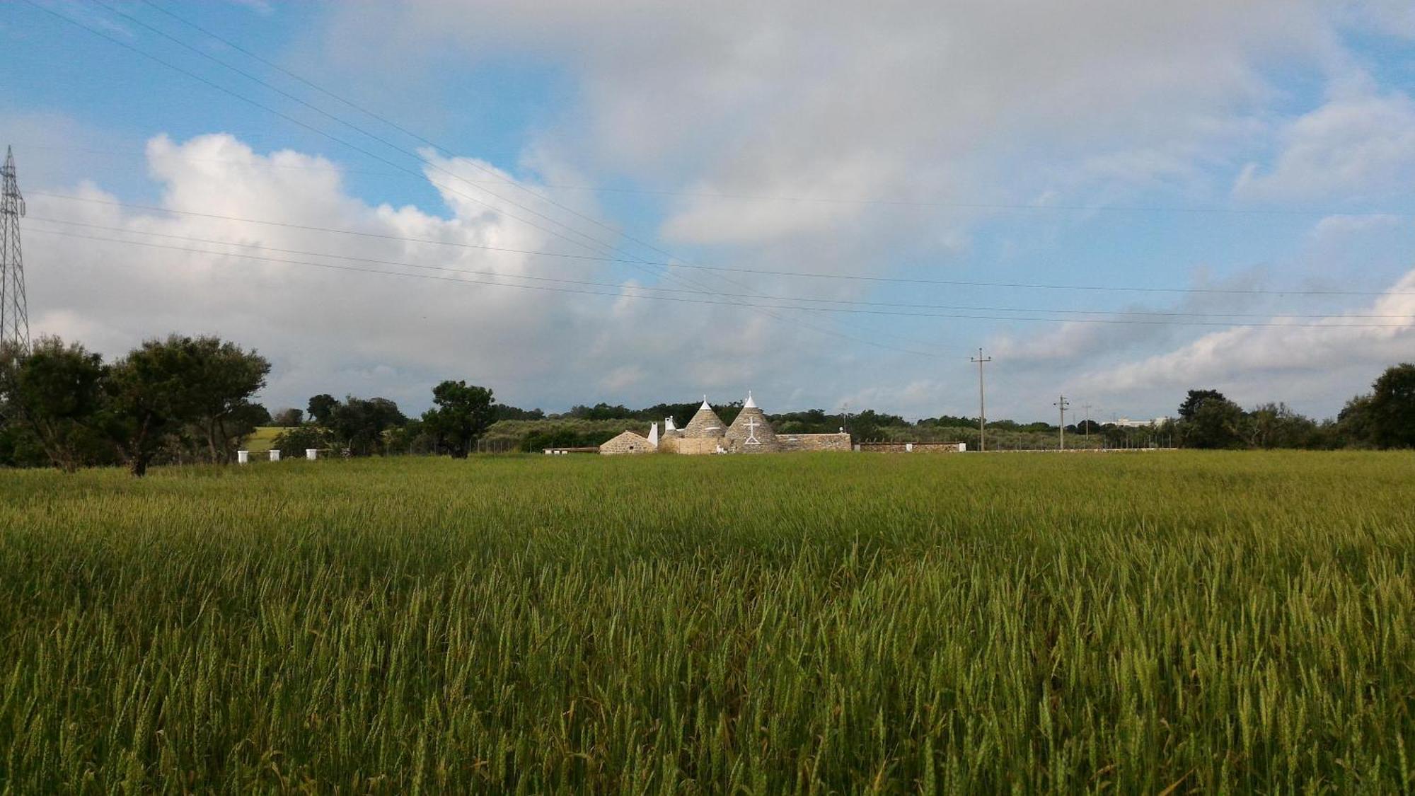 诺西Trulli Don Diego住宿加早餐旅馆 外观 照片