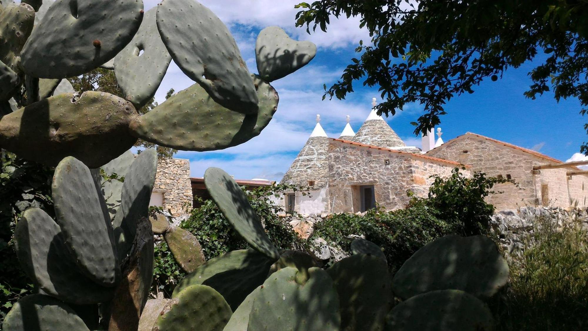 诺西Trulli Don Diego住宿加早餐旅馆 外观 照片