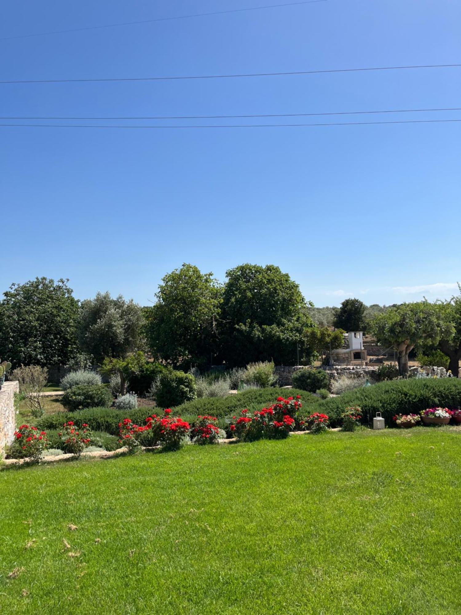 诺西Trulli Don Diego住宿加早餐旅馆 外观 照片