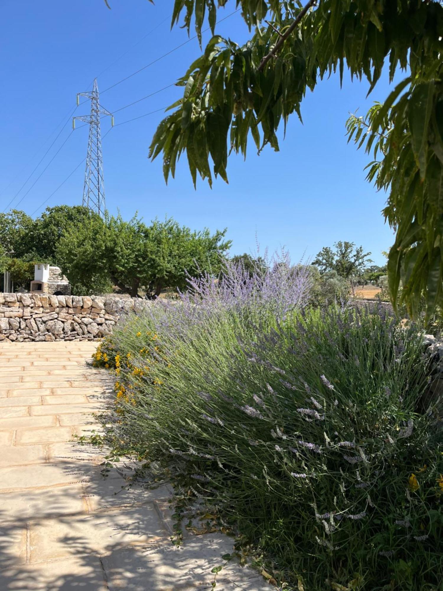 诺西Trulli Don Diego住宿加早餐旅馆 外观 照片