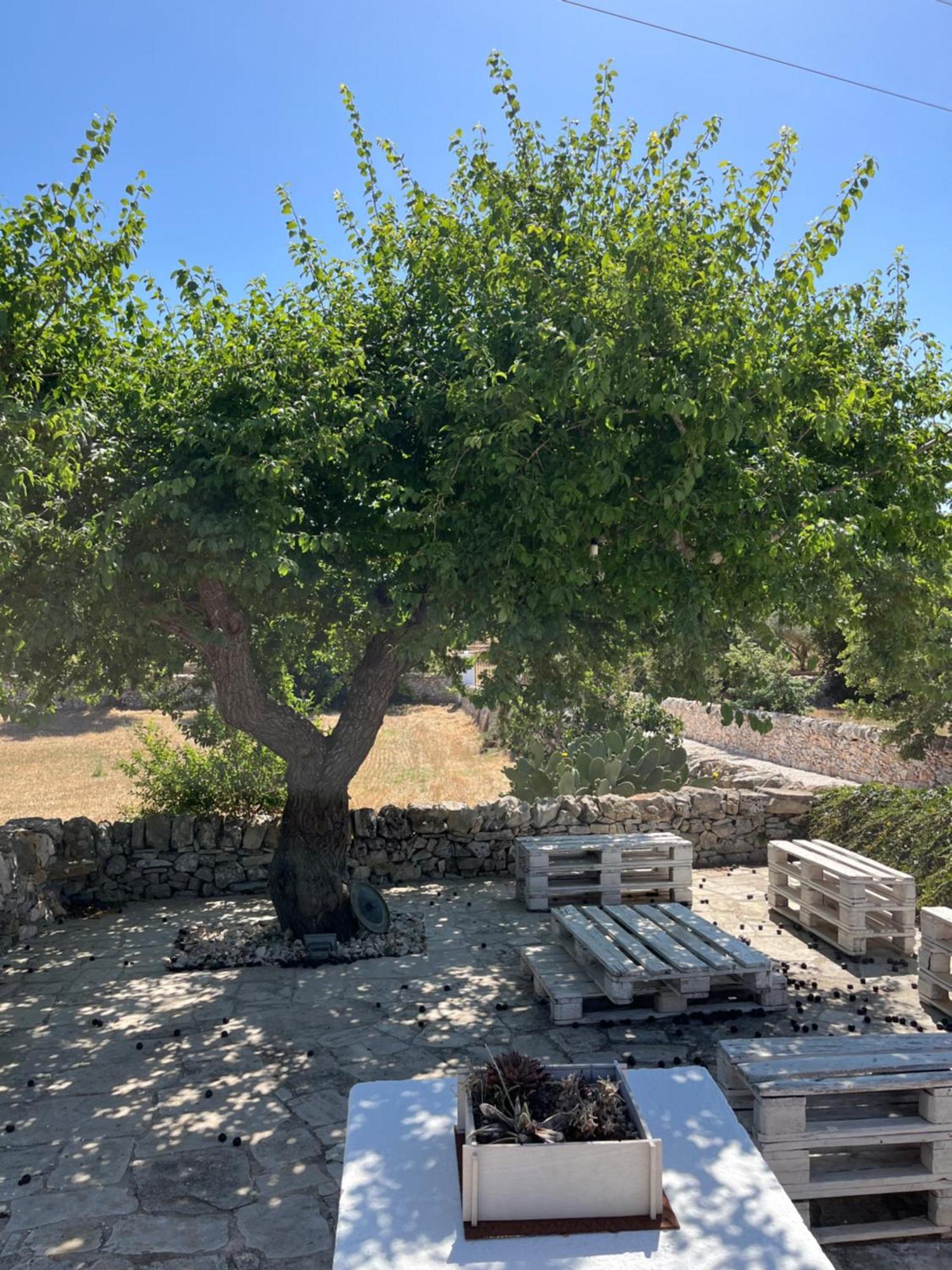诺西Trulli Don Diego住宿加早餐旅馆 外观 照片